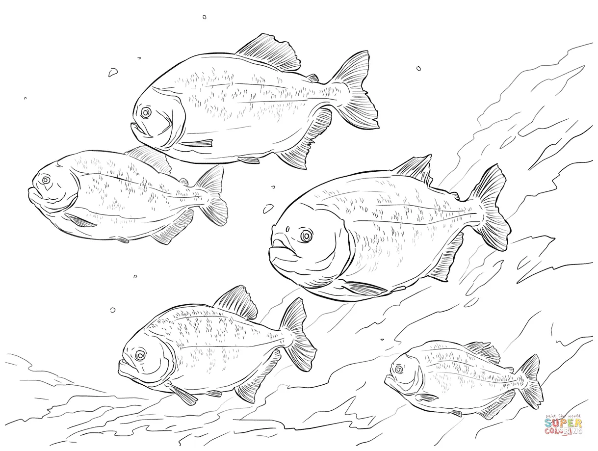 Piranha Coloring Page - Coloring Home
