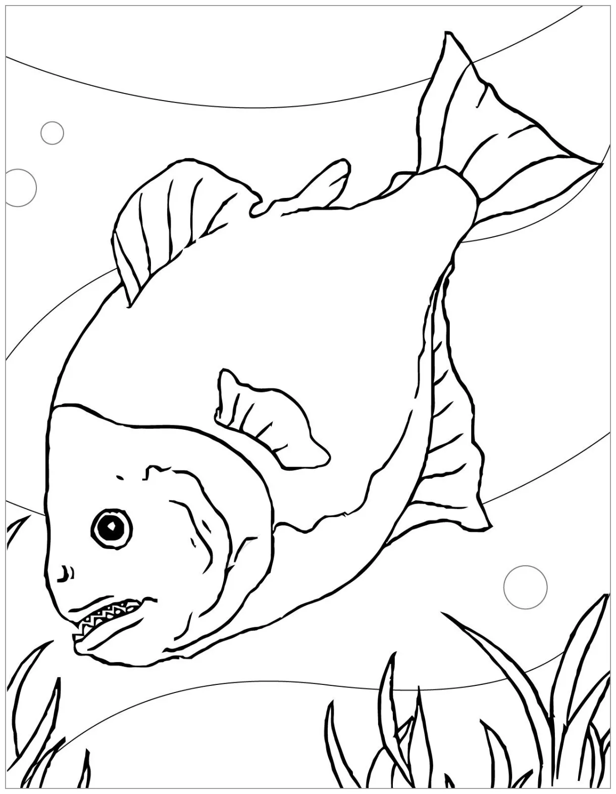 Piranha Coloring Pages - ColoringBay