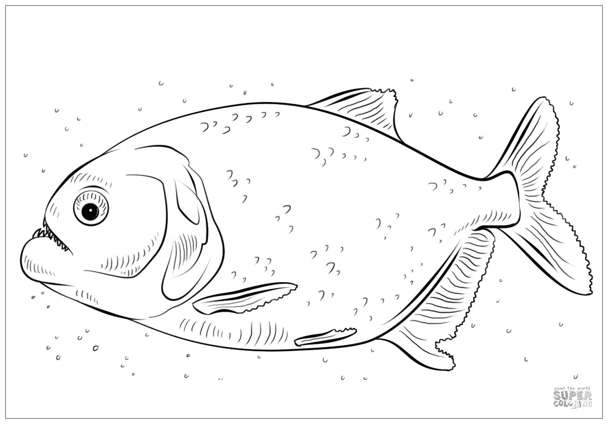 Piranha Coloring Pages - ColoringBay