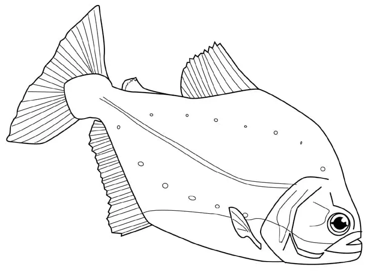 Funny Piranha Fish Coloring Page - Free Printable Coloring Pages for Kids