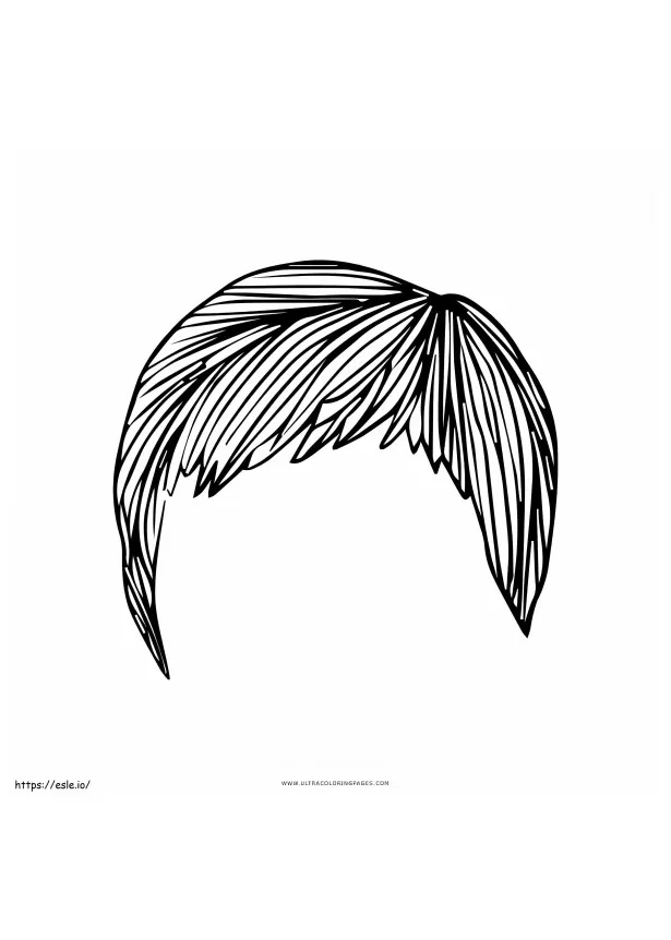 Pixie hair coloring page