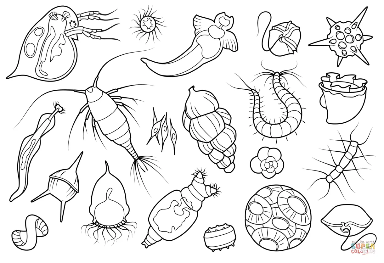 Free printable coloring pages