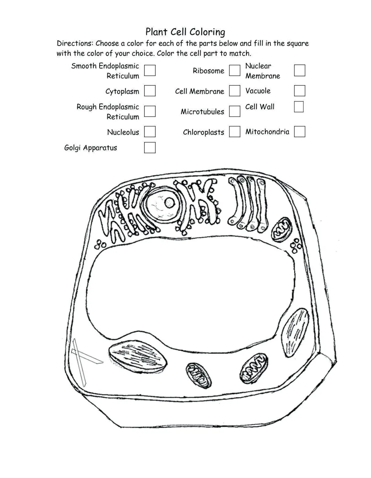 Plant cell coloring worksheet plant cell coloring key inspirational