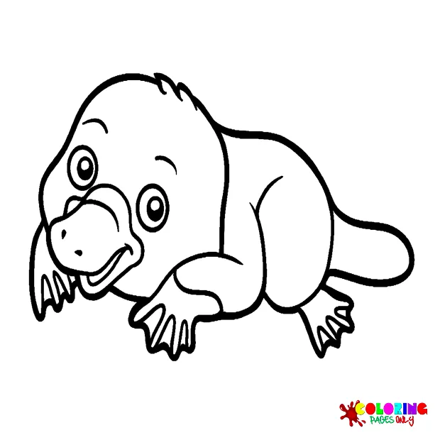 20+ platypus coloring pages free printable pdf & online coloring