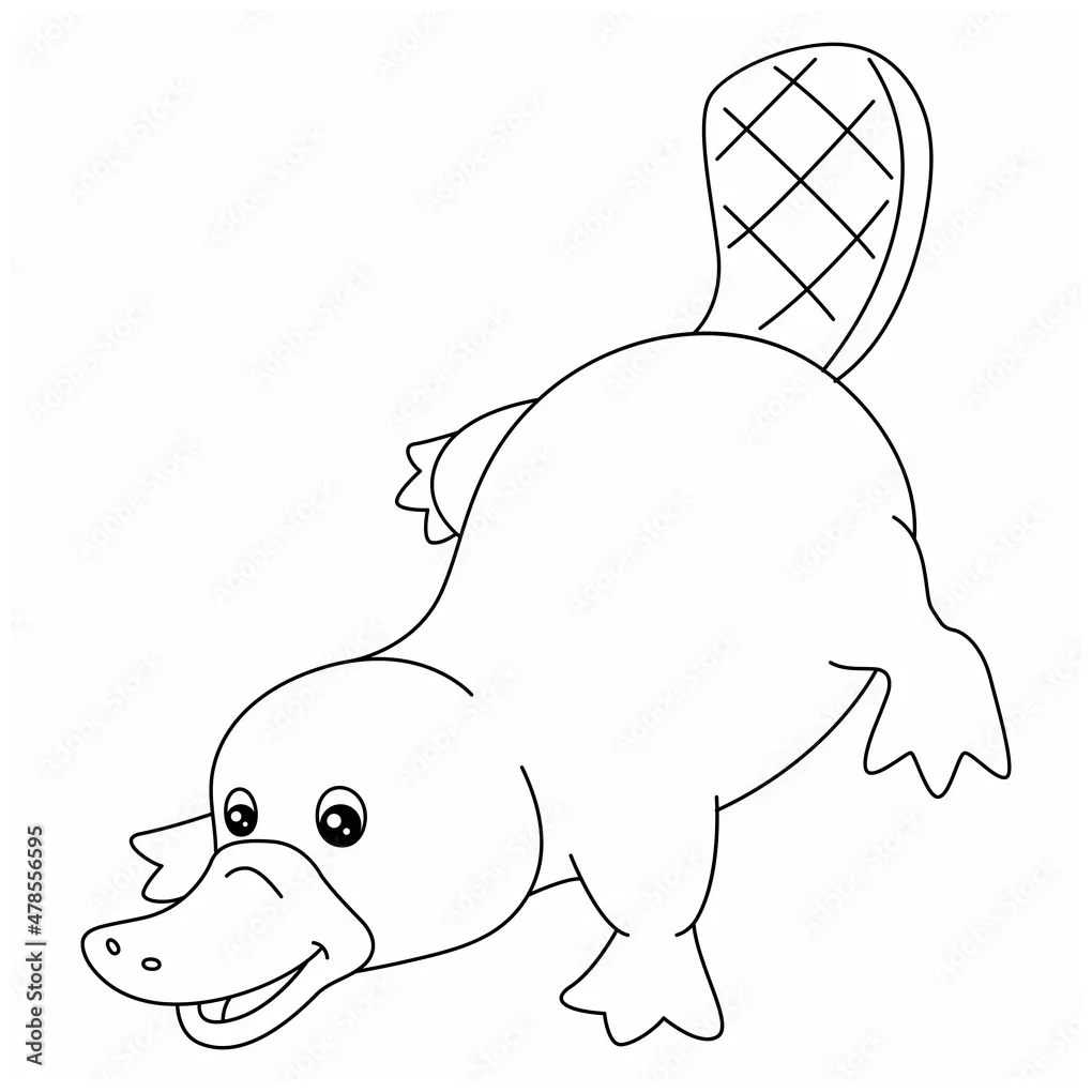 Platypus coloring page isolated for kids stock vector adobe stock