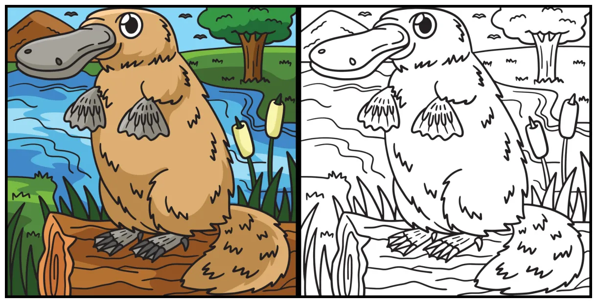 Platypus coloring page colored illustration 17022917 vector art at vecteezy