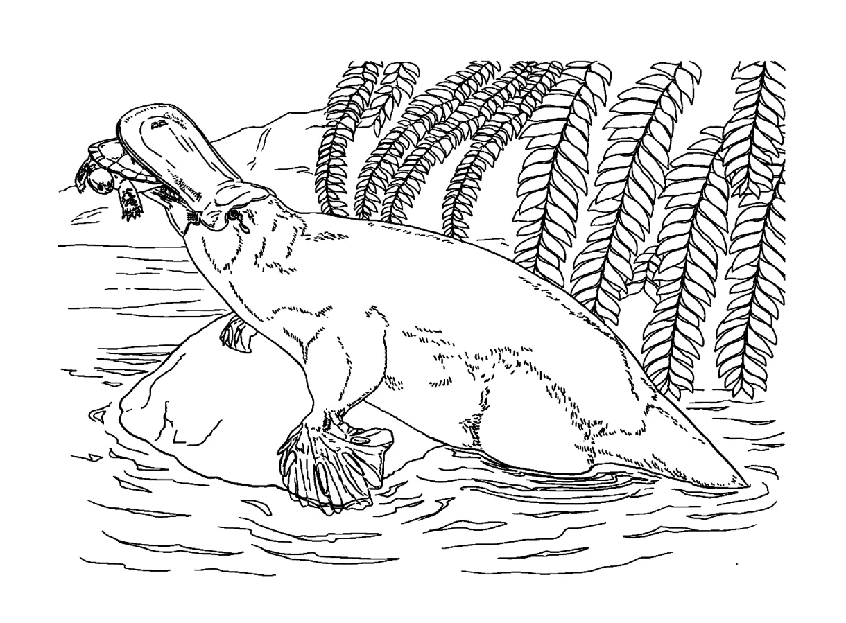 20+ s free printable pdf & online coloring