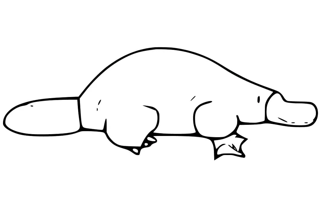 Lovely free printable coloring pages for kids