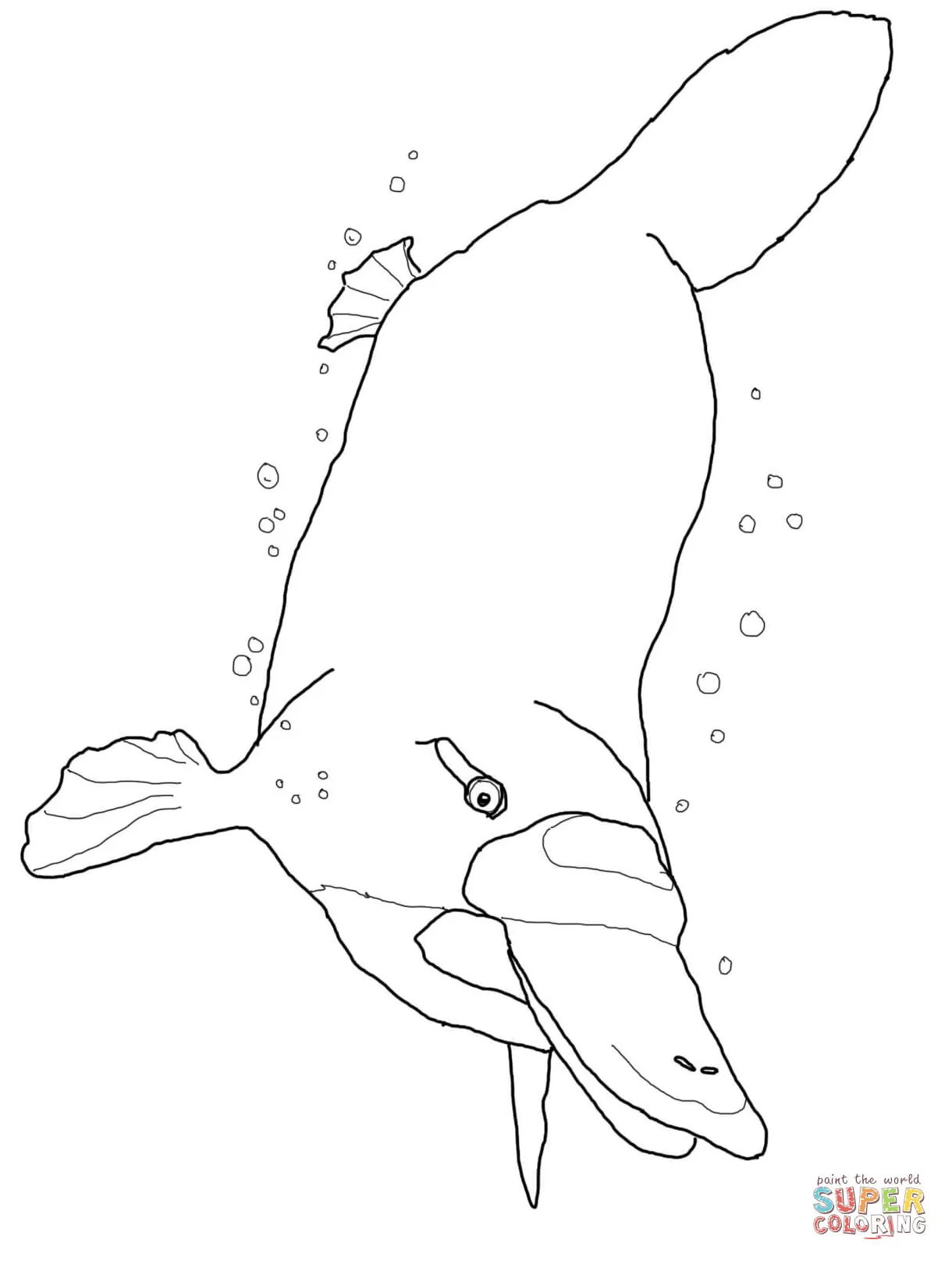 Platypus swimming underwater coloring page free printable coloring pages