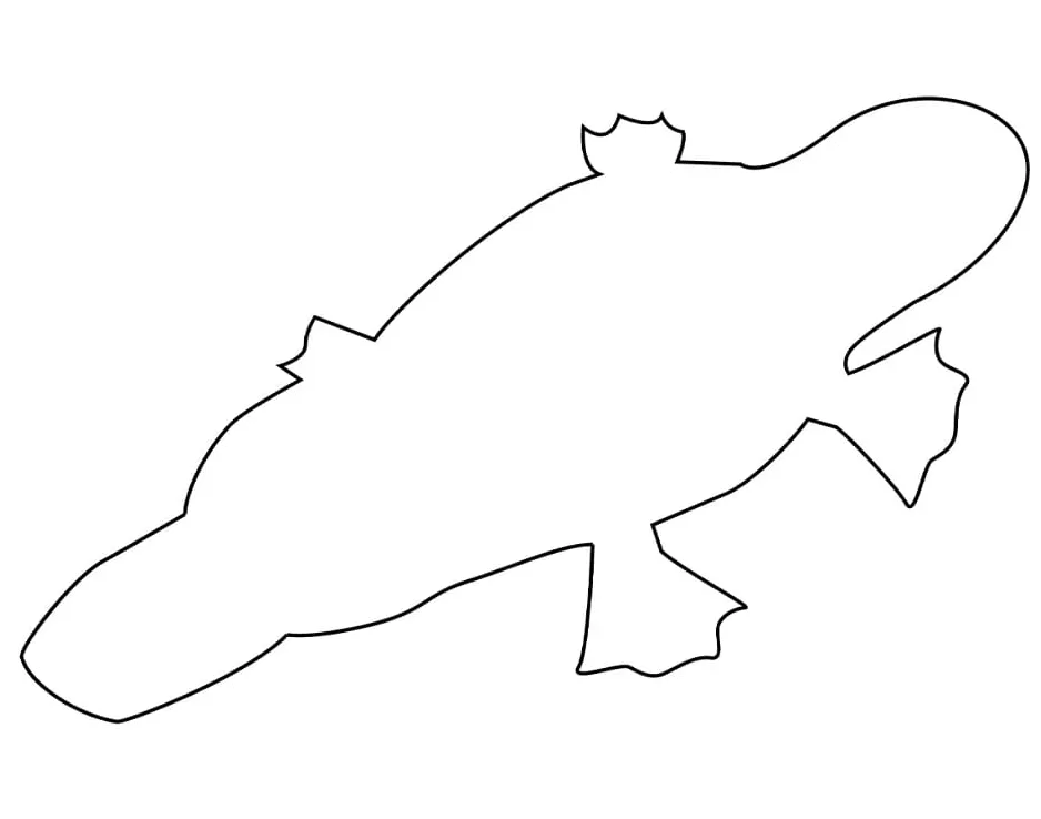 Printable platypus coloring page free printable coloring pages for kids
