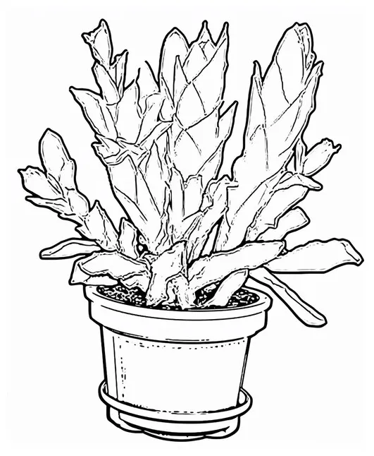 Premium ai a flower line art for kids