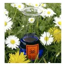 California EPA Releases Green Chemistry Initiative - Environment+Energy