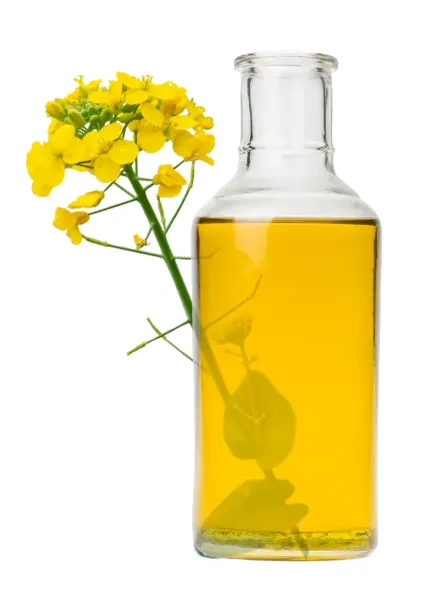 Prairies love canadian beans