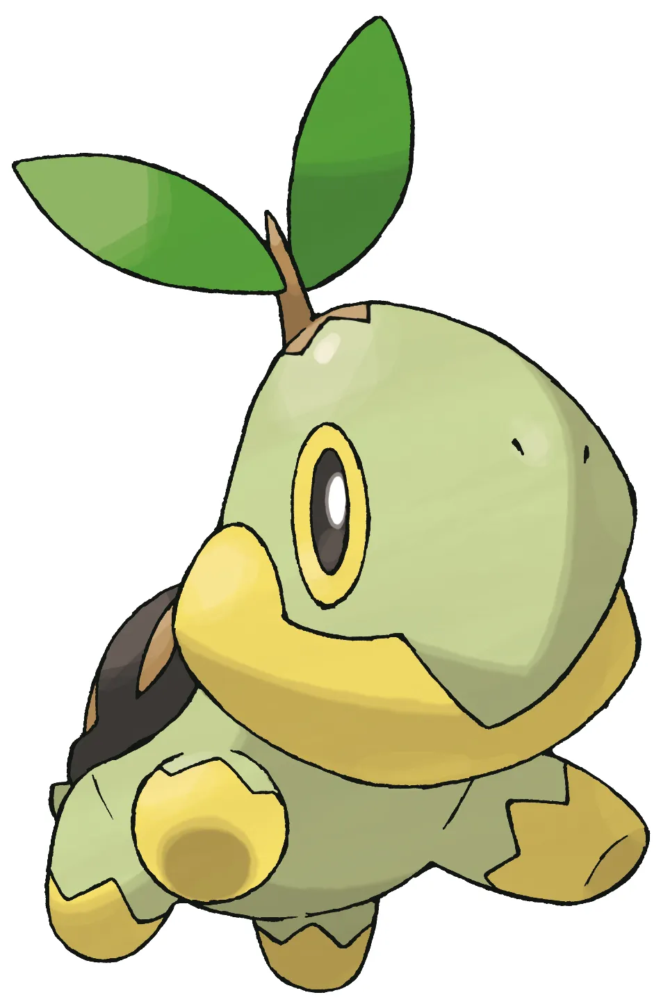 Pokemon clipart turtle, pokemon turtle transparent free for download on