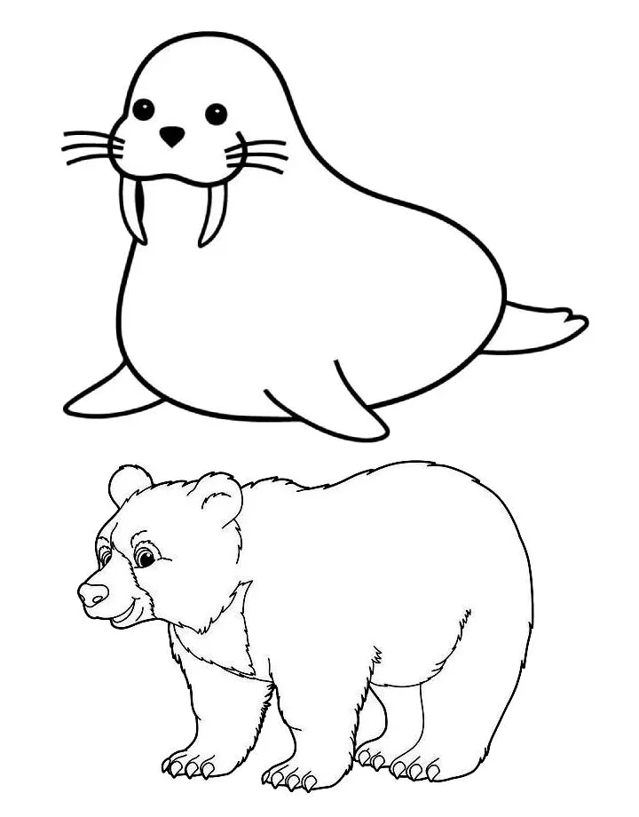 Polar animals coloring page free printable pdf