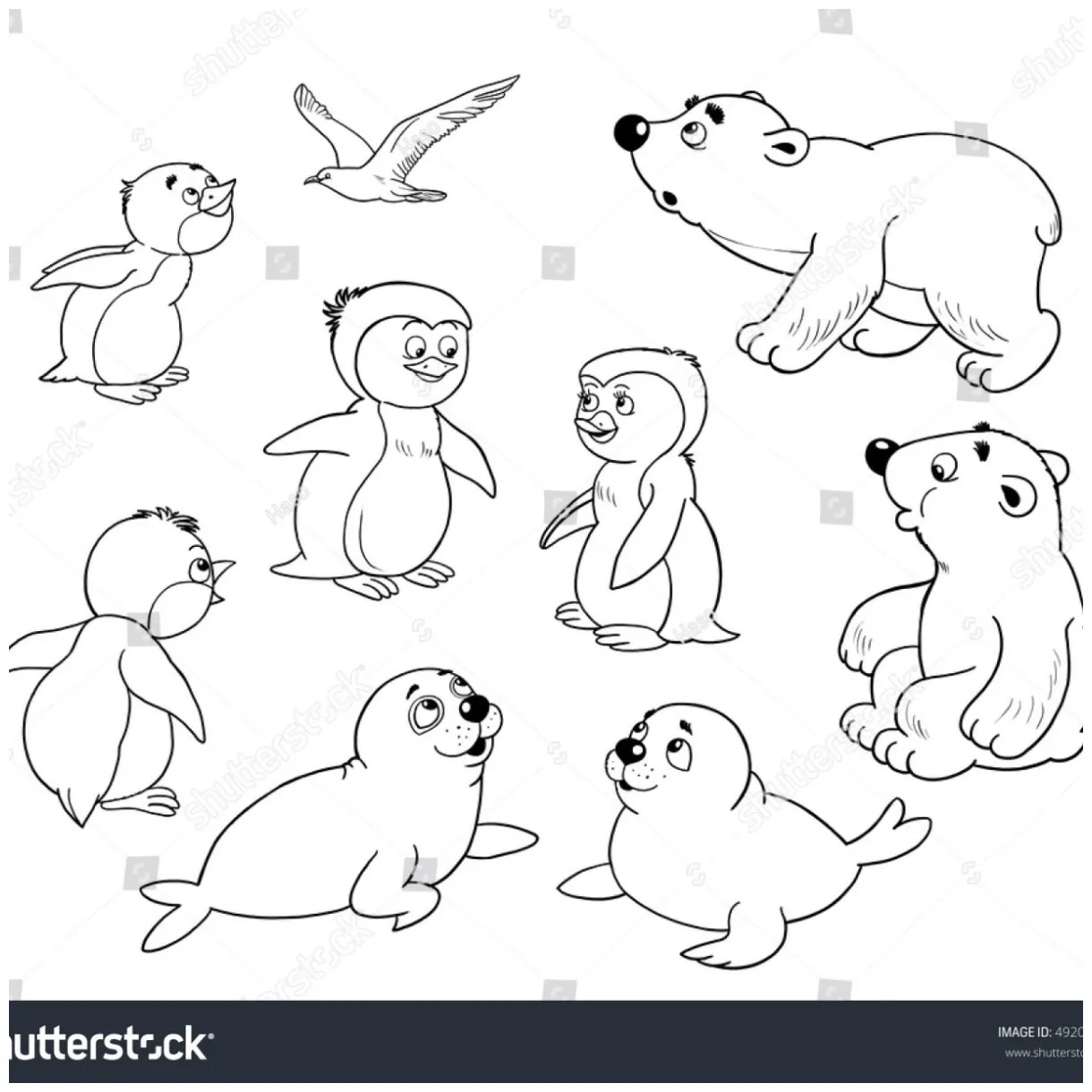 Polar animals coloring pages at getcolorings free printable