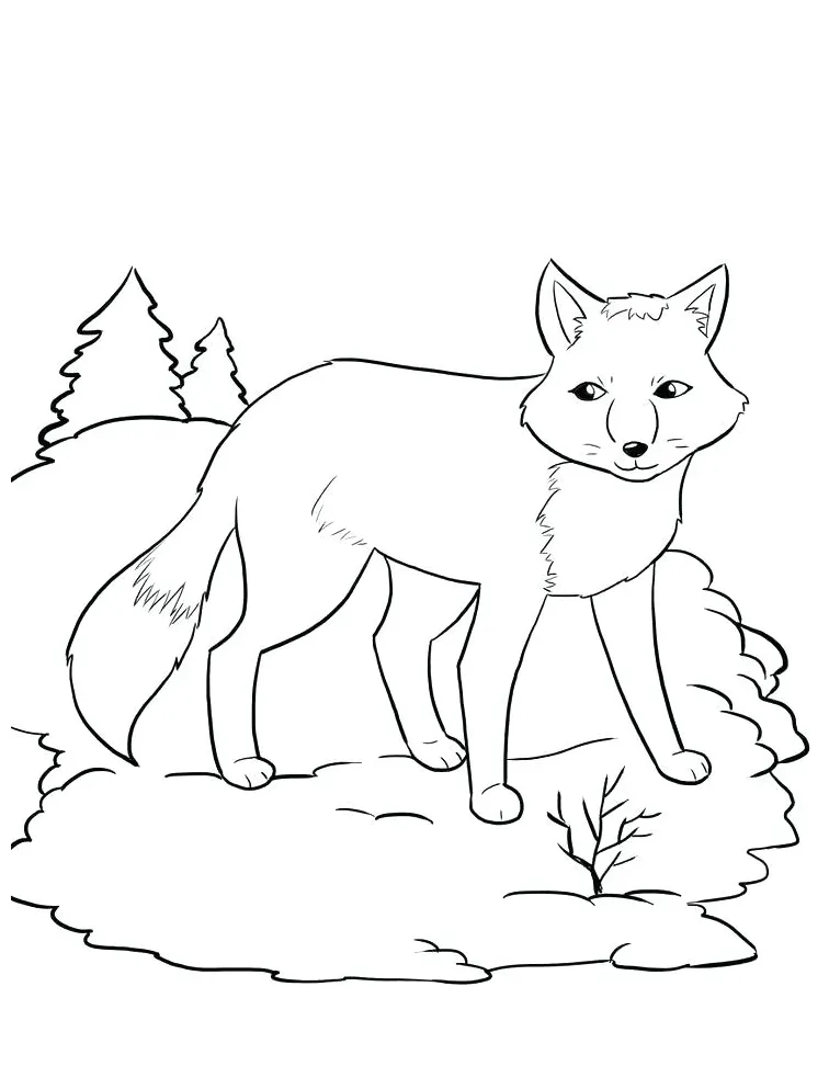 Polar animals coloring pages at getcolorings free printable