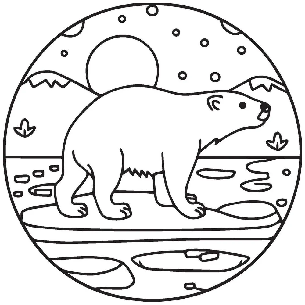 Polar Animals Coloring pages. Animals coloring pages. Polar animal