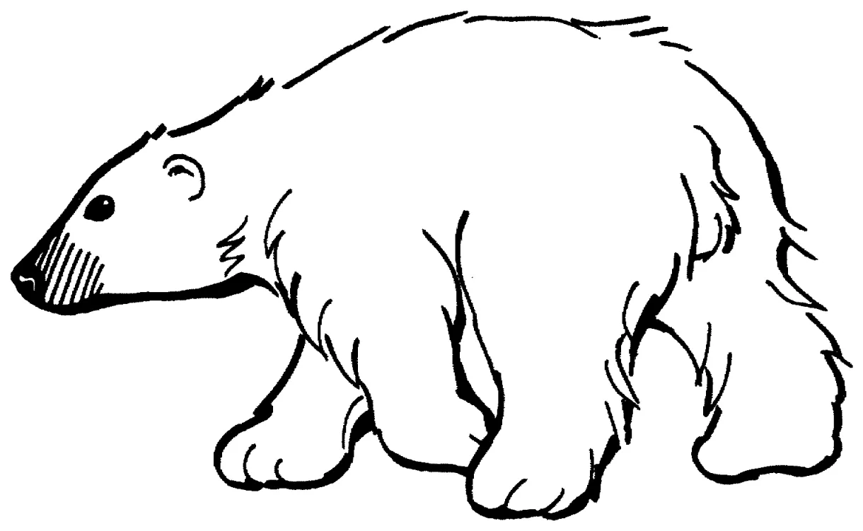 S to download and print for free