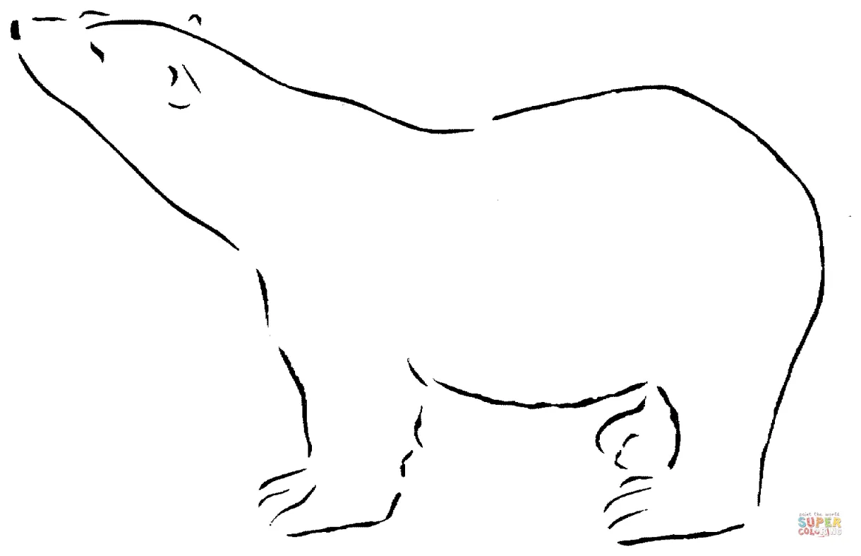 Polar bear 13 coloring online super coloring