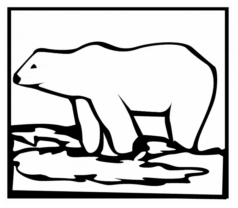 Animals town animals color sheet polar printable coloring page