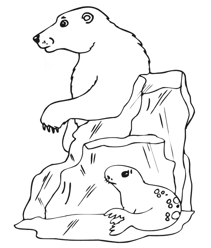 Animals town animal color sheets polar