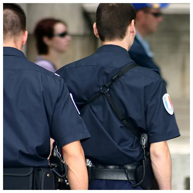 13 800+ police france s, taleaux et s libre de droits istock