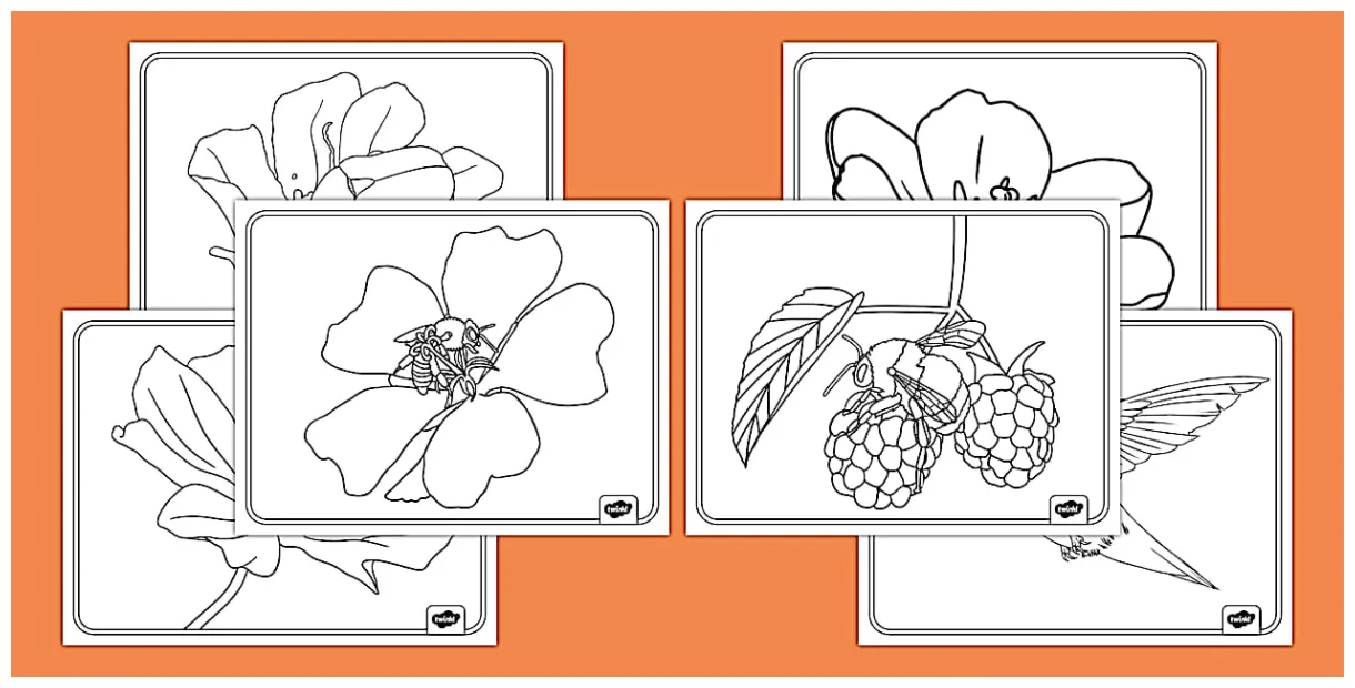 S art resource twinkl usa