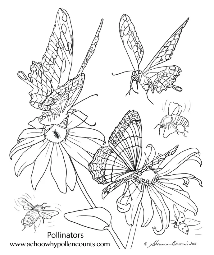 Pollinator coloring pages coloring pages