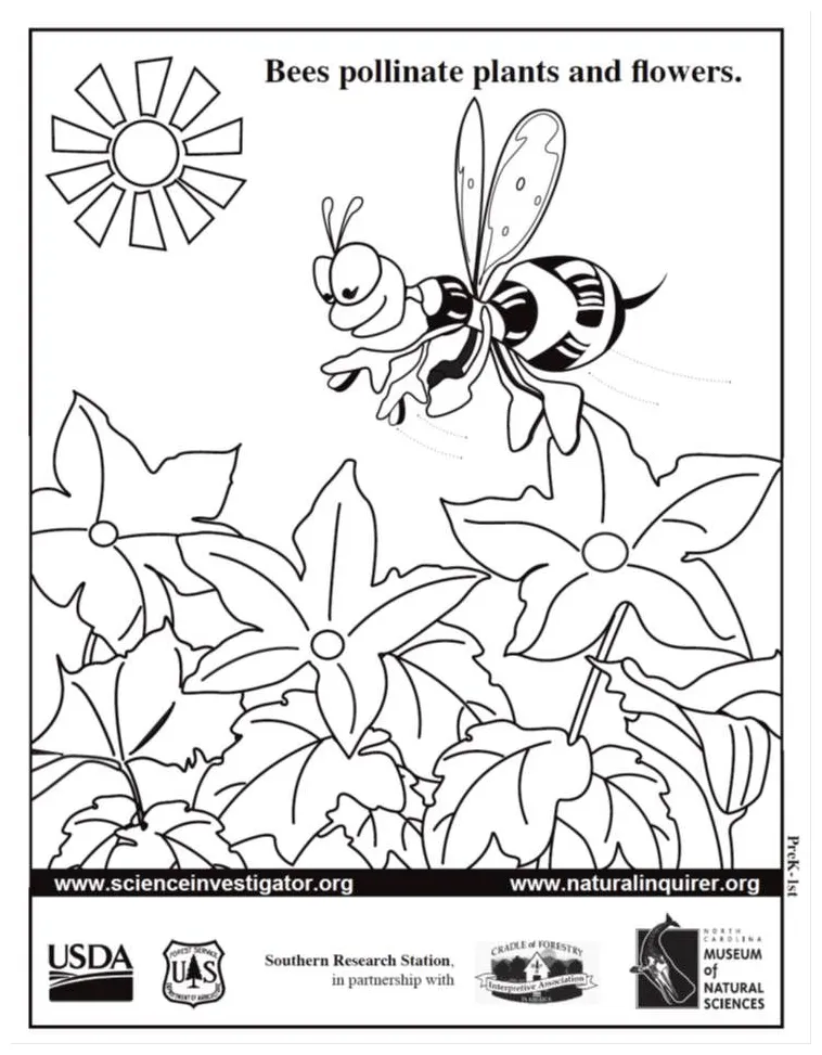 Pollinator coloring sheets coloring pages printable coloring page