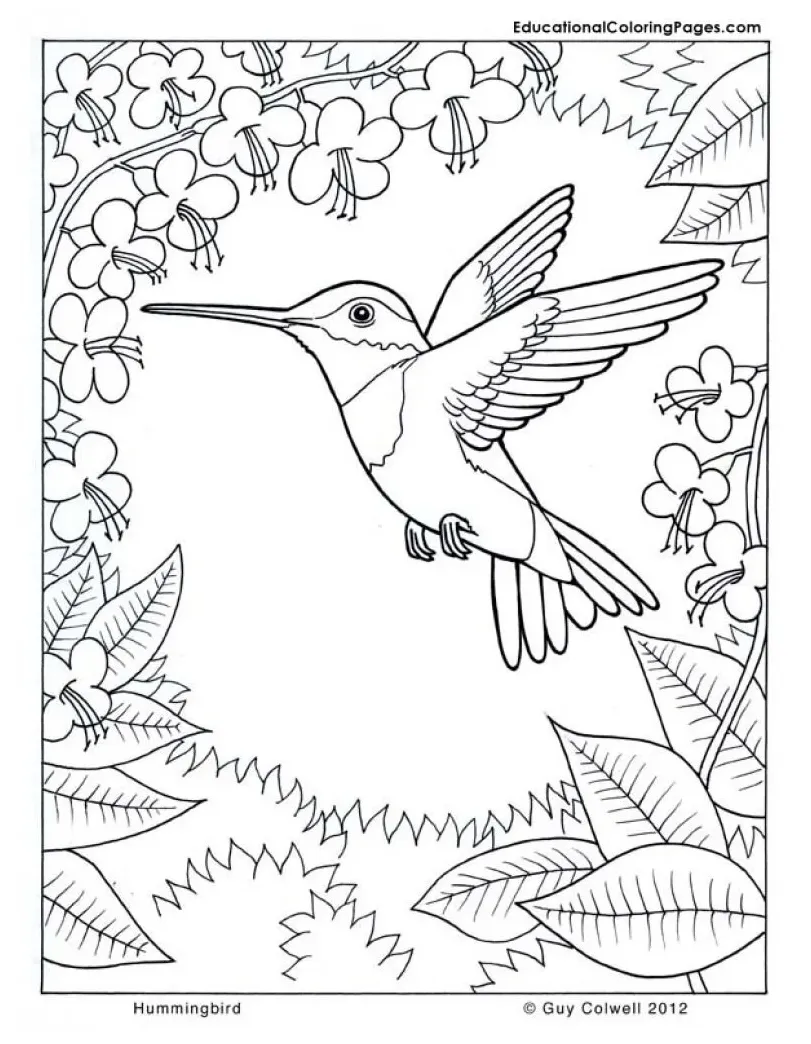 Pollinator coloring pages — seattle's favorite garden store since 1924