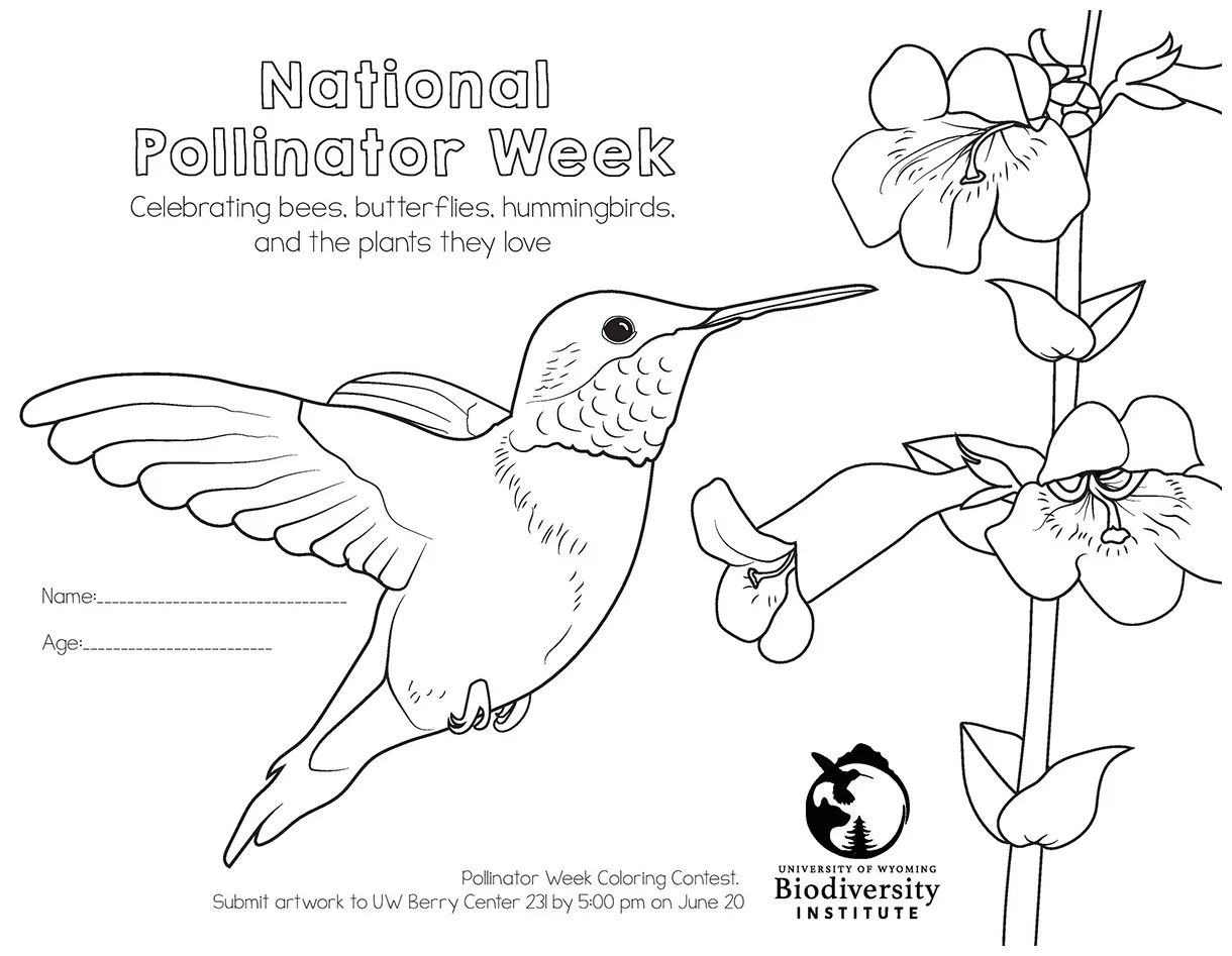 S coloring pages printable coloring page