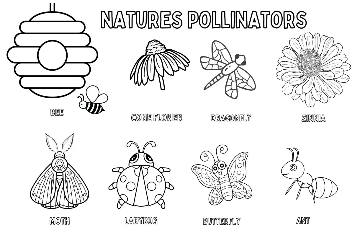 Coloring placemat for kids natures pollinators bug ladybug bumblebee