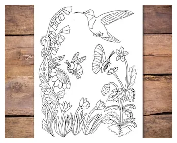 Pollination coloring etsy