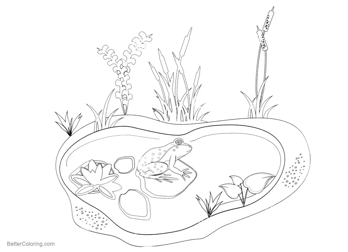 S animals and plants free printable coloring pages