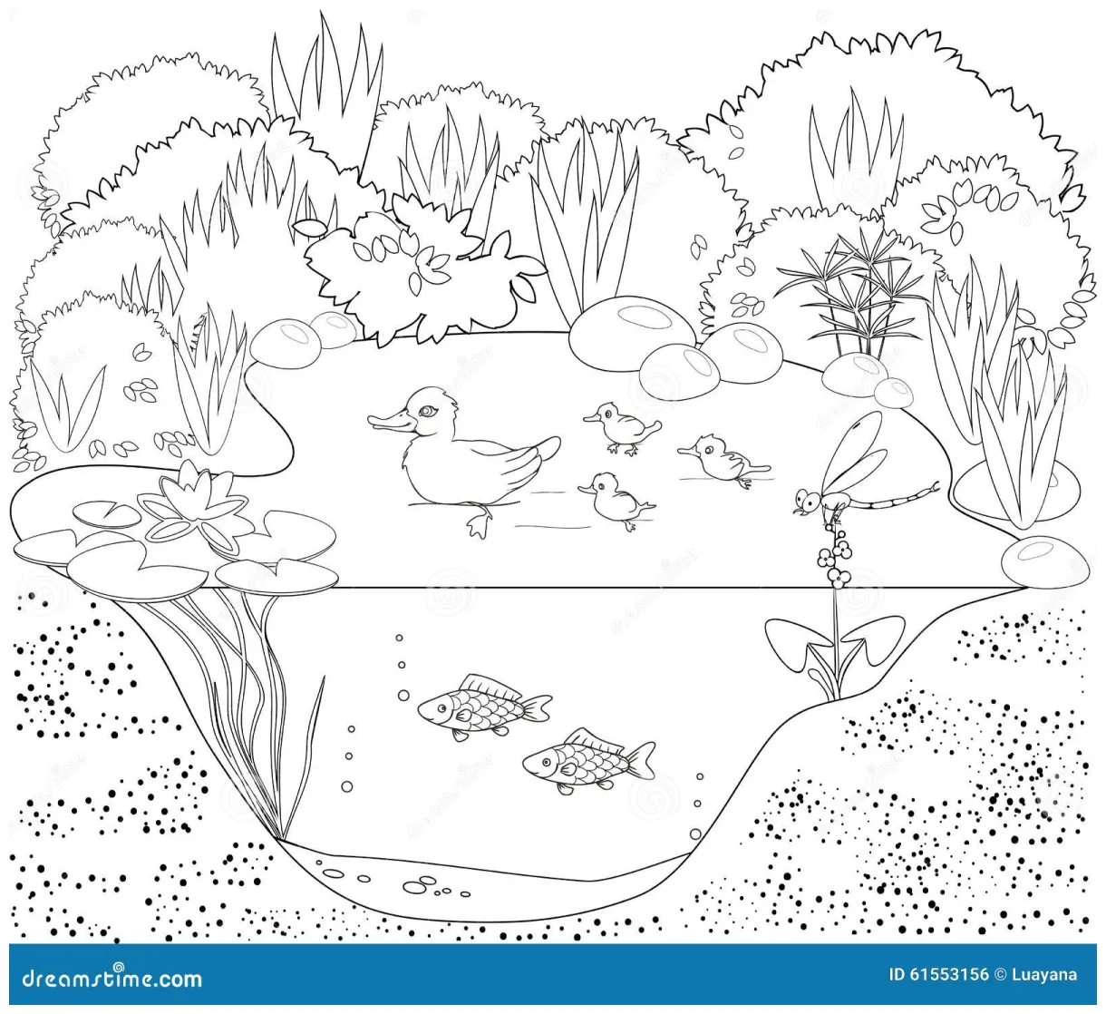 Coloring pond cartoon vector cartoondealer #59093721