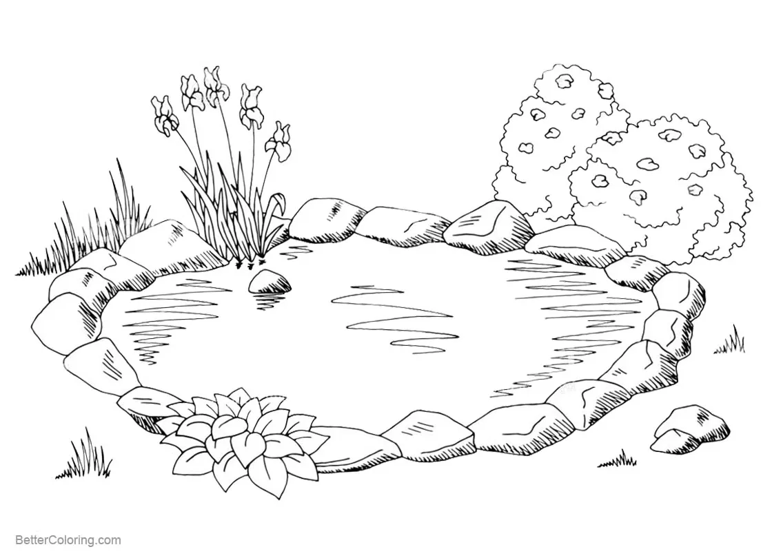 Pond habitat coloring page coloring pages
