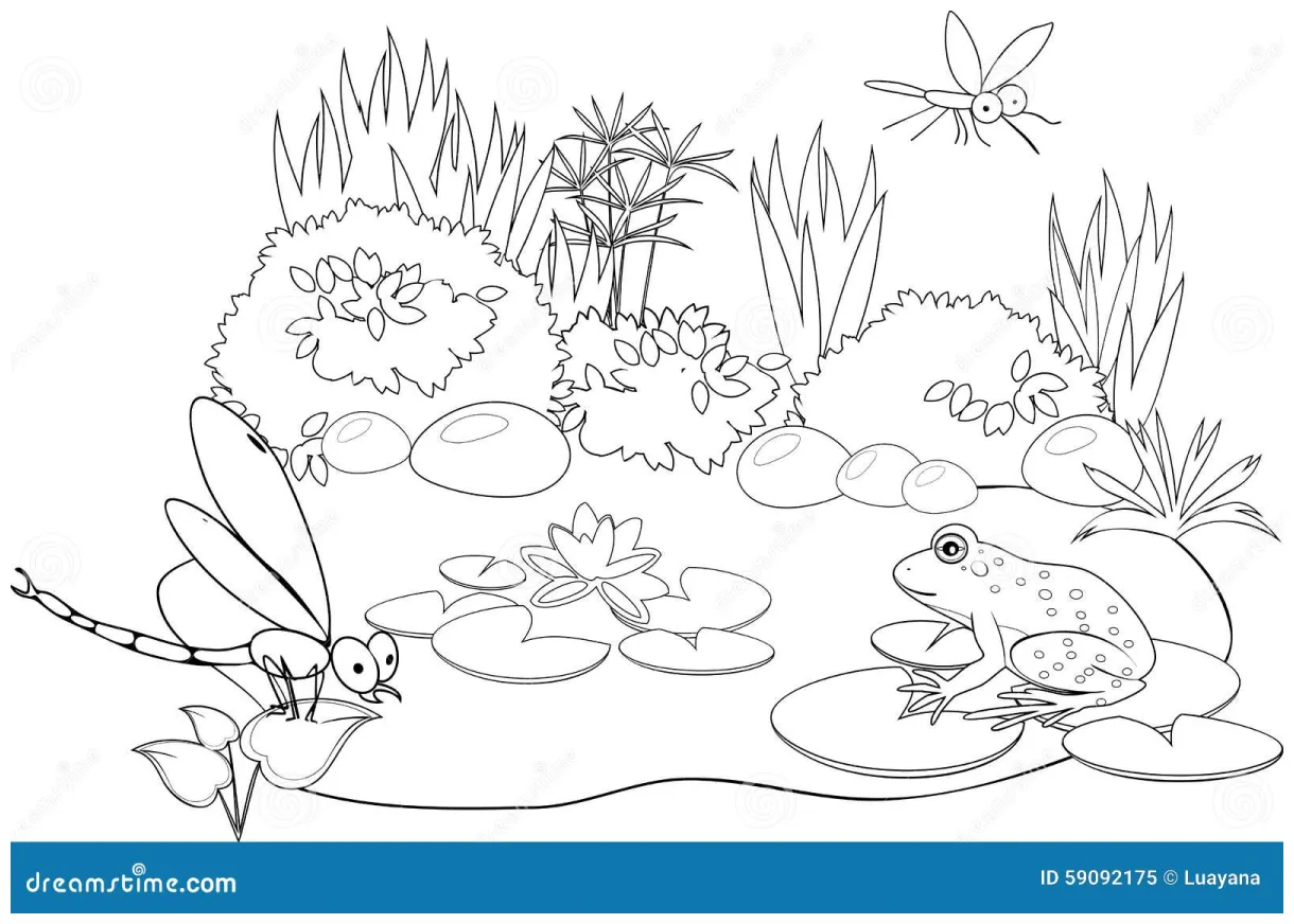 Coloring pond cartoon vector cartoondealer #59093721