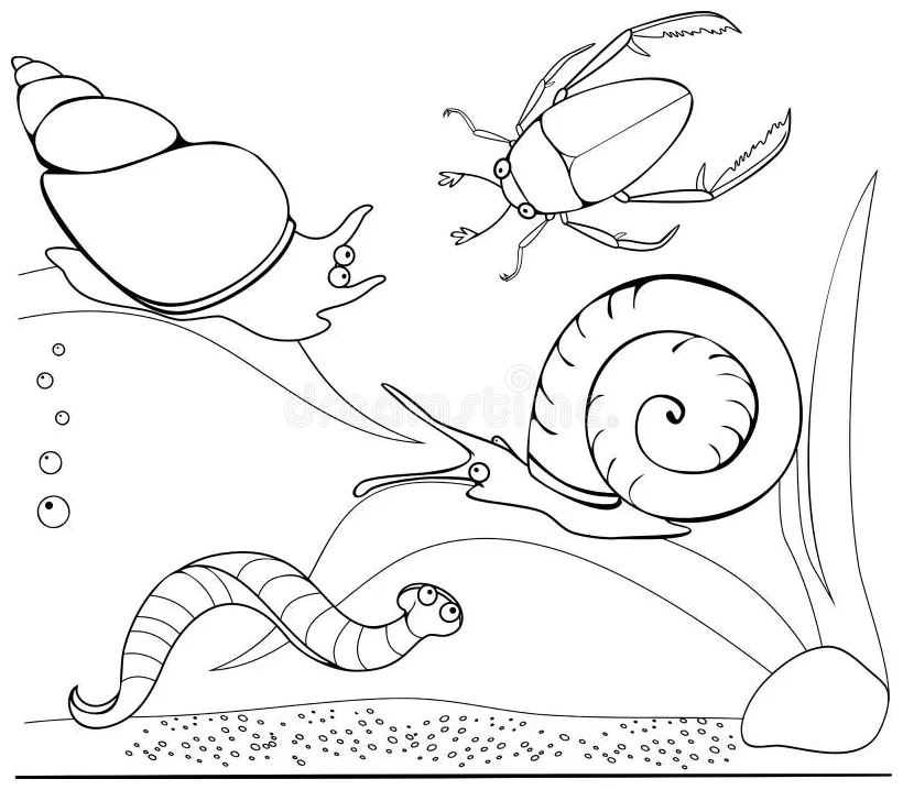 Pond scene coloring page coloring pages