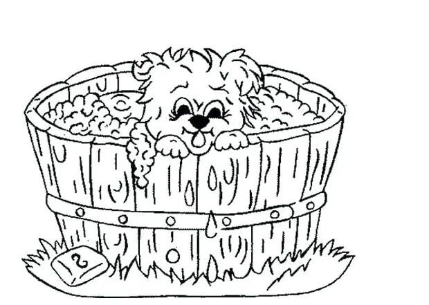 S at getcolorings free printable