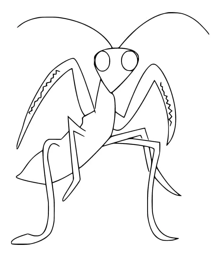 Praying mantis coloring page