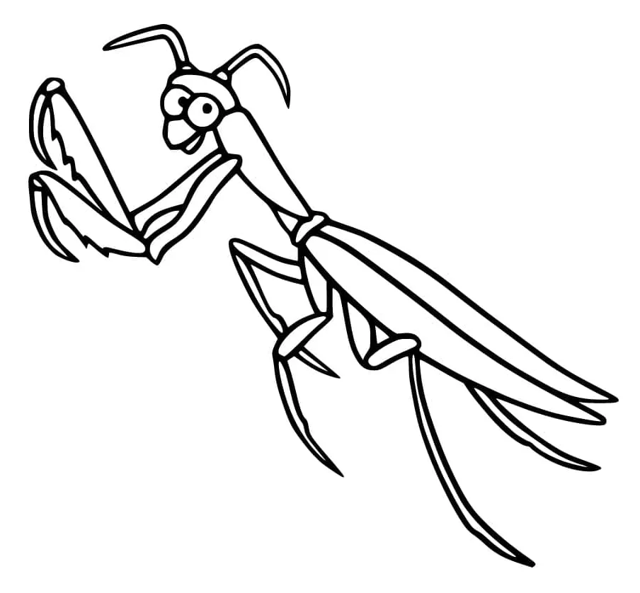 Praying mantis coloring page