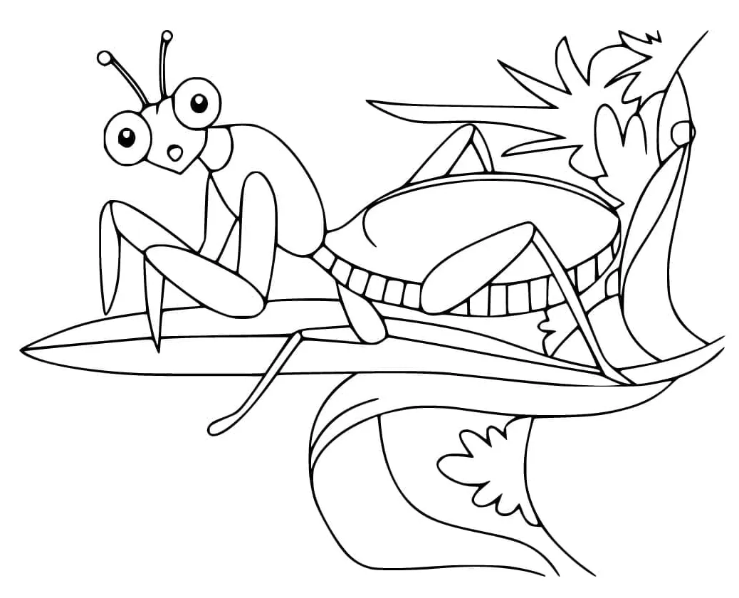 Praying mantis coloring page printable coloring page