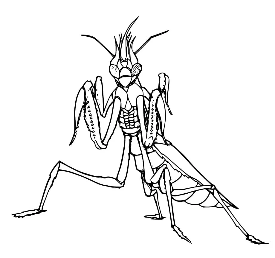 Praying mantis coloring page
