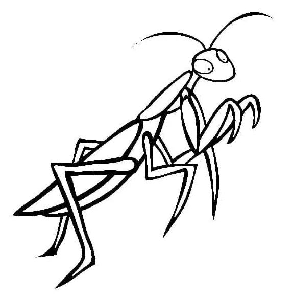 Praying mantis coloring page printable coloring page