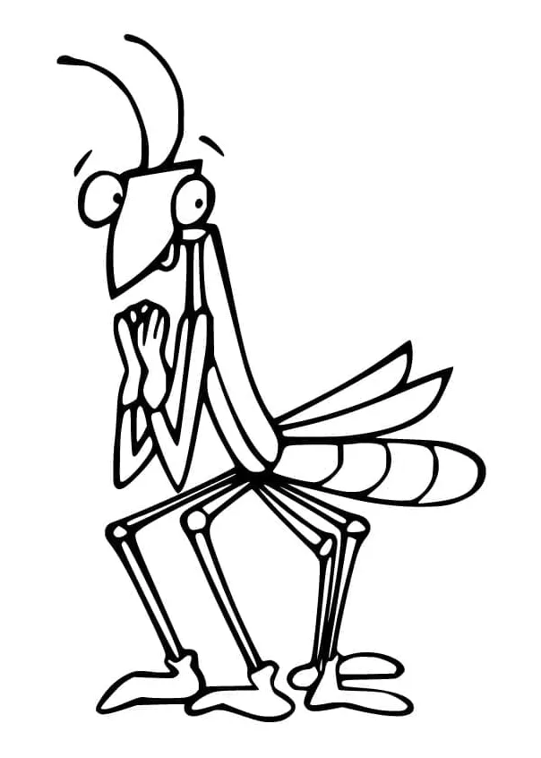 Praying mantis coloring page