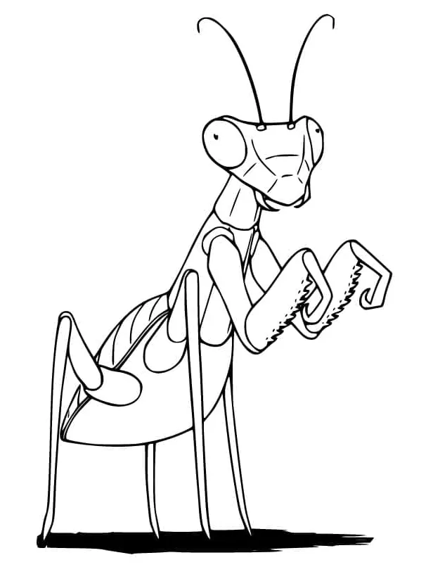 Praying mantis coloring page