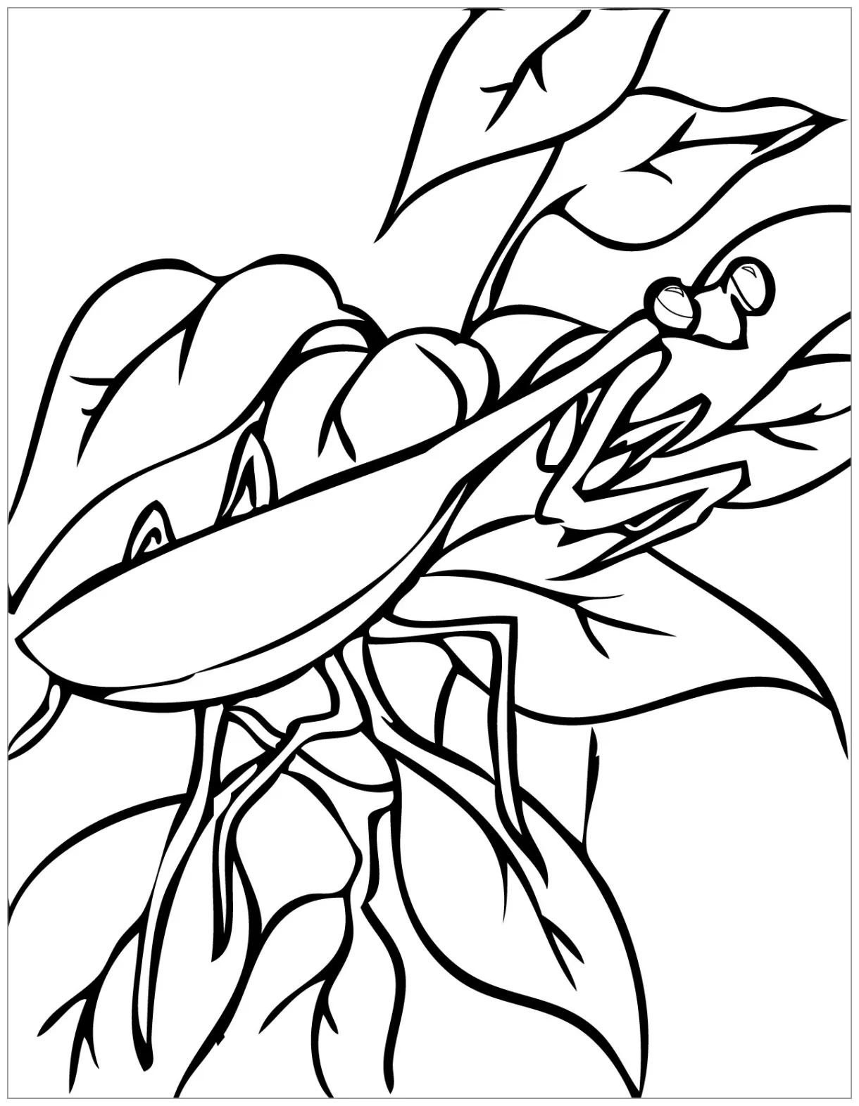 Praying mantis coloring pages coloringbay