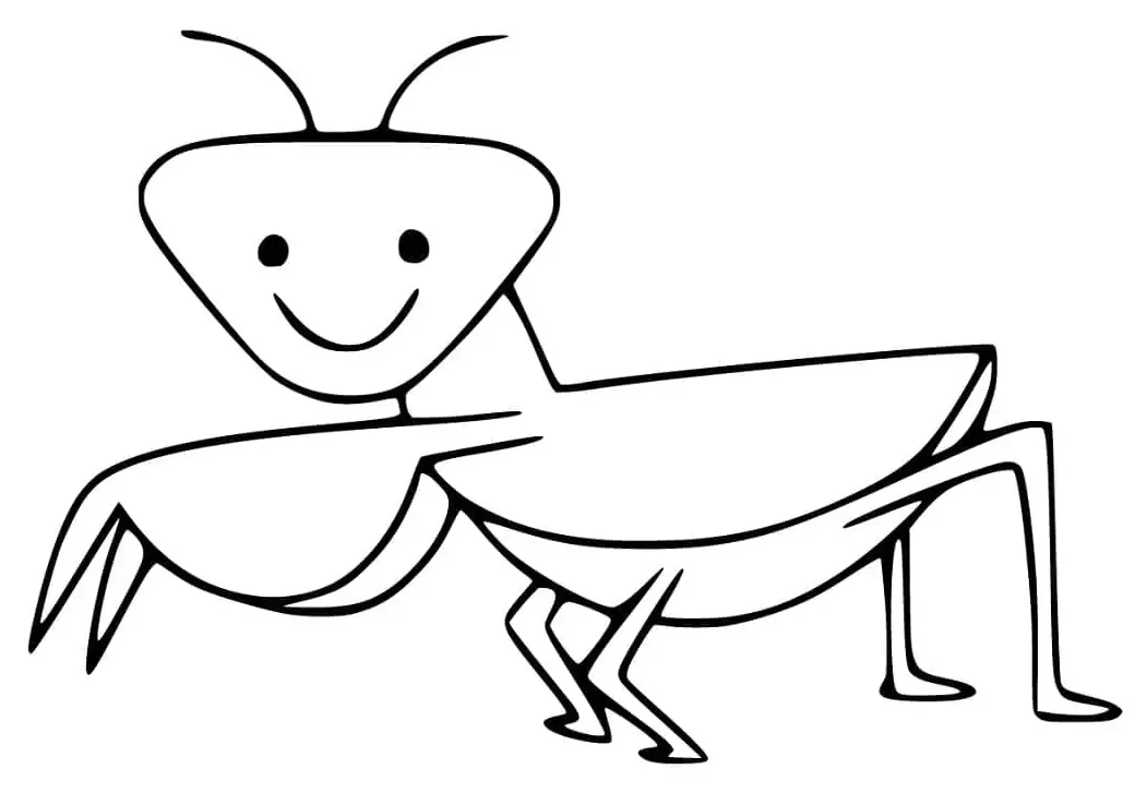 Adorable praying mantis