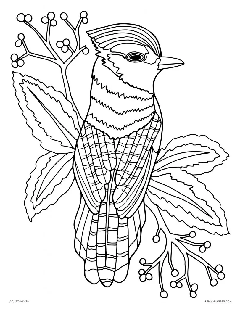 Coloring pages and s